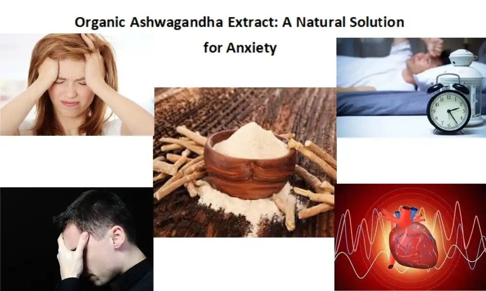 Organic Ashwagandha Extract: A Natural Solution for Anxiety